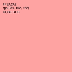 #FEA2A2 - Rose Bud Color Image